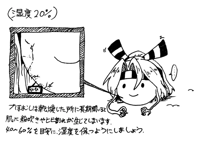 づほむしの生態レポート29 #づほむし 