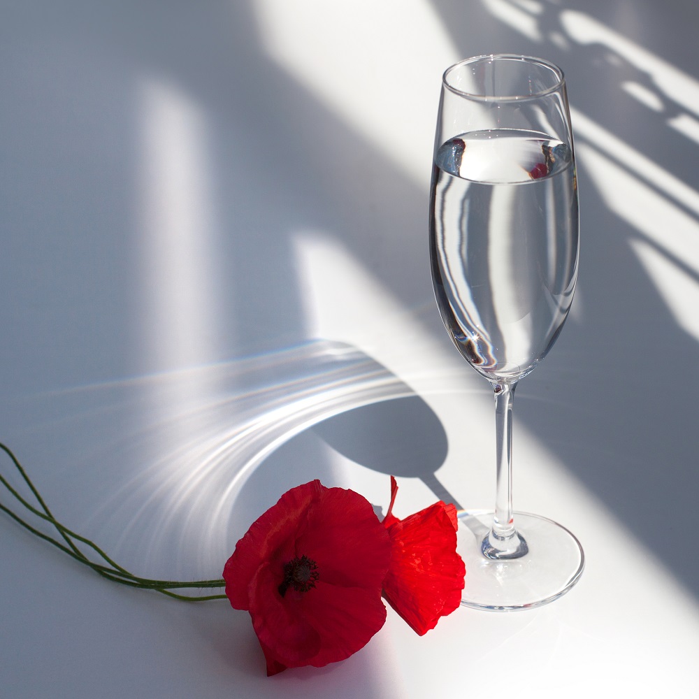 TotallyJules's tweet photo. “For last year's words belong to last year's language. And next year's words await another voice.” —T.S. Eliot #HAPPYNEWYEAR2022 https://t.co/lOd94LCLZS