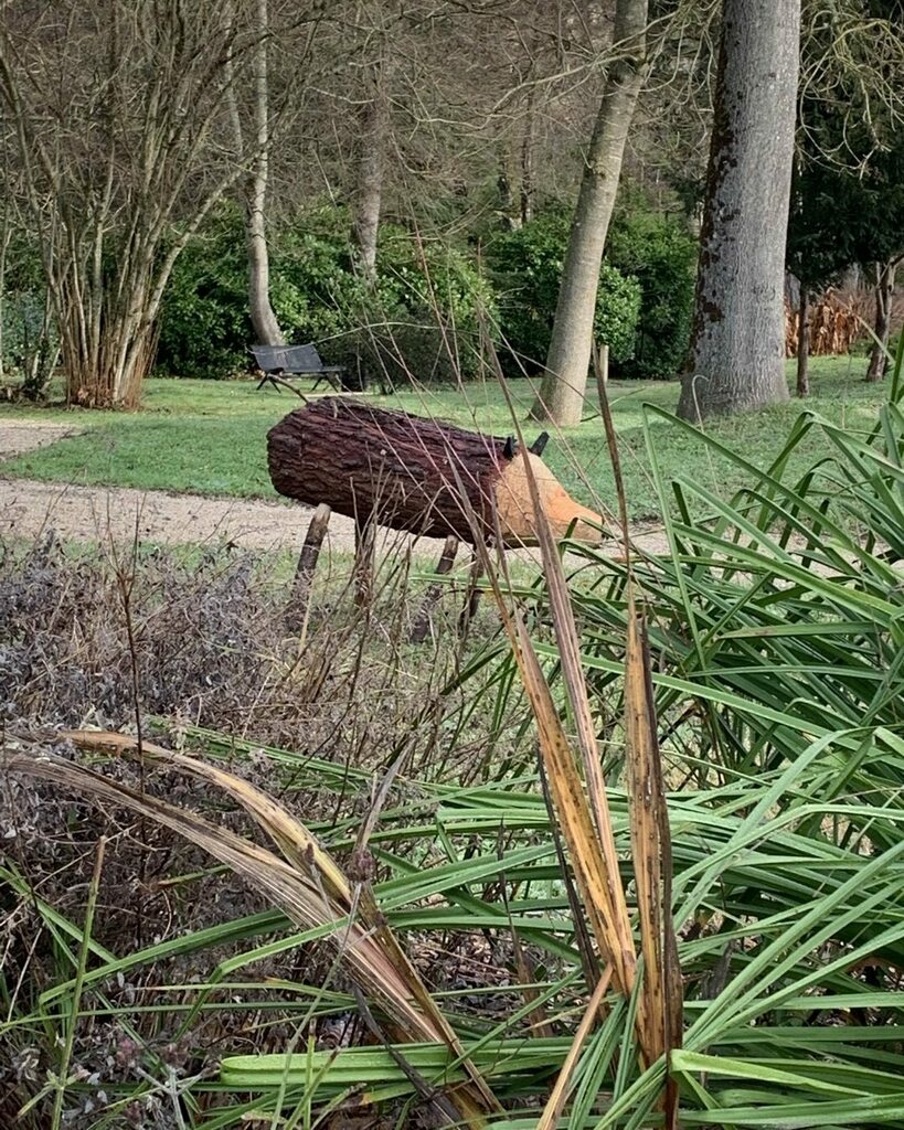 KatehardyFrance's tweet photo. Wild boar sighting https://t.co/l13dueR8br https://t.co/PAp5G9Xx07