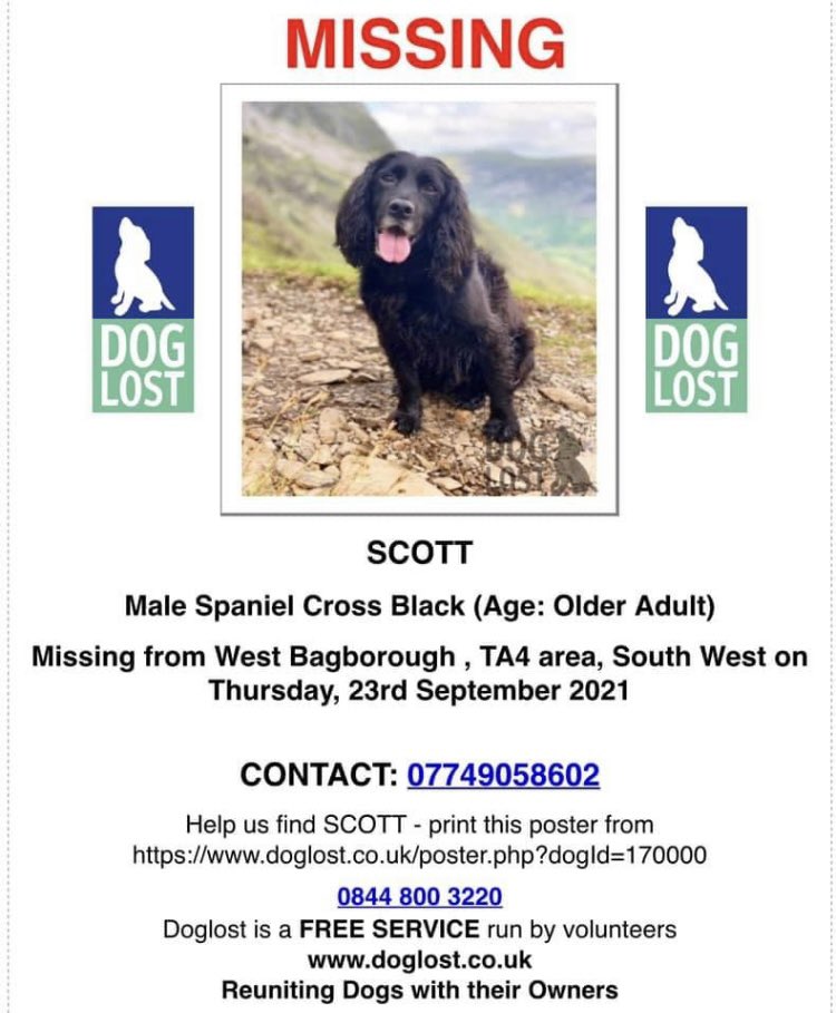 scott_find's tweet photo. Never in a million years did I think I’d be finishing this year without my best friend by my side. 

Scott, I love you so much, I miss you more than words, please make your way home somehow. Please give me my miracle. 

I won’t give up until this guy is found #findScott 🐾🐾❤️❤️ https://t.co/32lTfRNX41