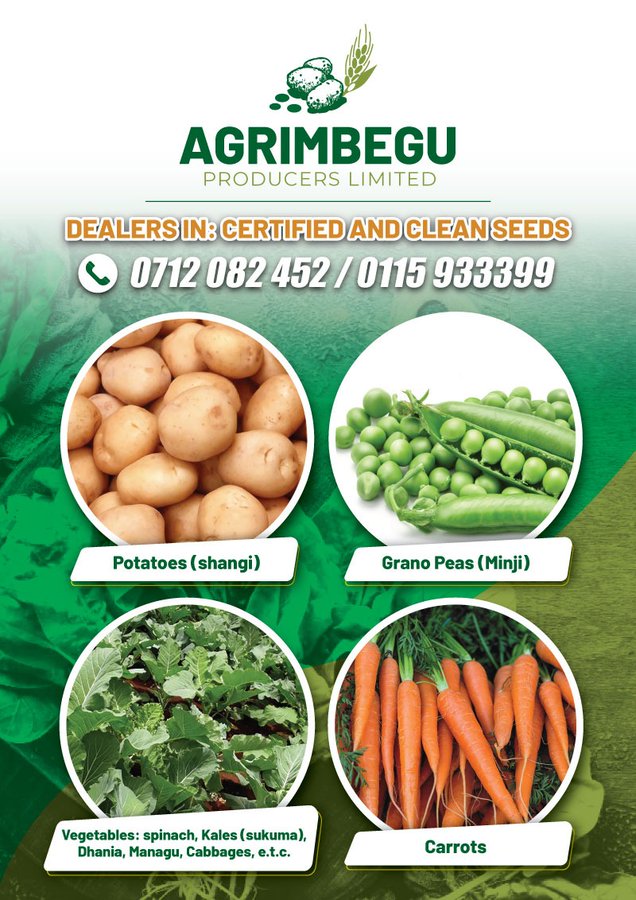 agrimbegu's tweet photo. Happy new year from AgriMbegu, thank you for your support throughout the year, we hope to serve you even better in 2022, may 2022 be a blessing to you and your entire family,...we cherish you.
#SeedProducers
@AAP_World @IrriHub @kilimoKE @IFAD @Cipotato @VictorSiroon @kibrutto https://t.co/yDgWrw9Hvi