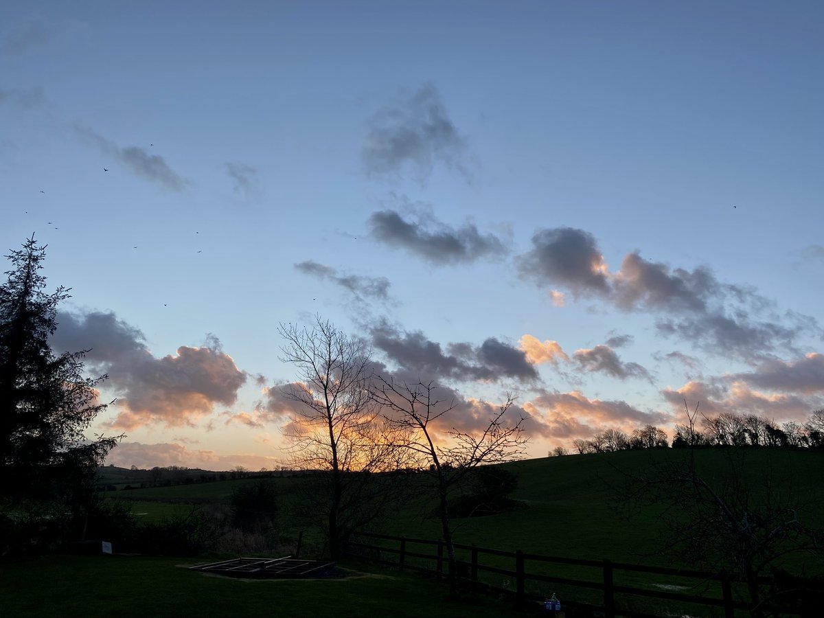 HabitatJenny's tweet photo. Sunrise comes late on 1st January. βEvery sunrise is a poem written on the earth with light, warmth, and love.β #fromourwindow #thankful https://t.co/eYASWyrDVv