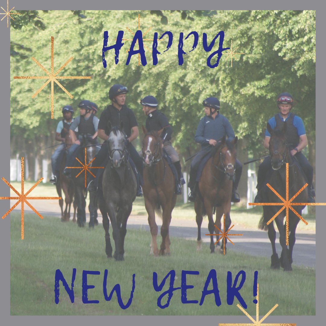 Wishing all of our owners, staff and followers a very happy, healthy and successful New Year. Thank you for your support in 2021 - here’s to 2022! 🎉 #gainsboroughthoroughbreds