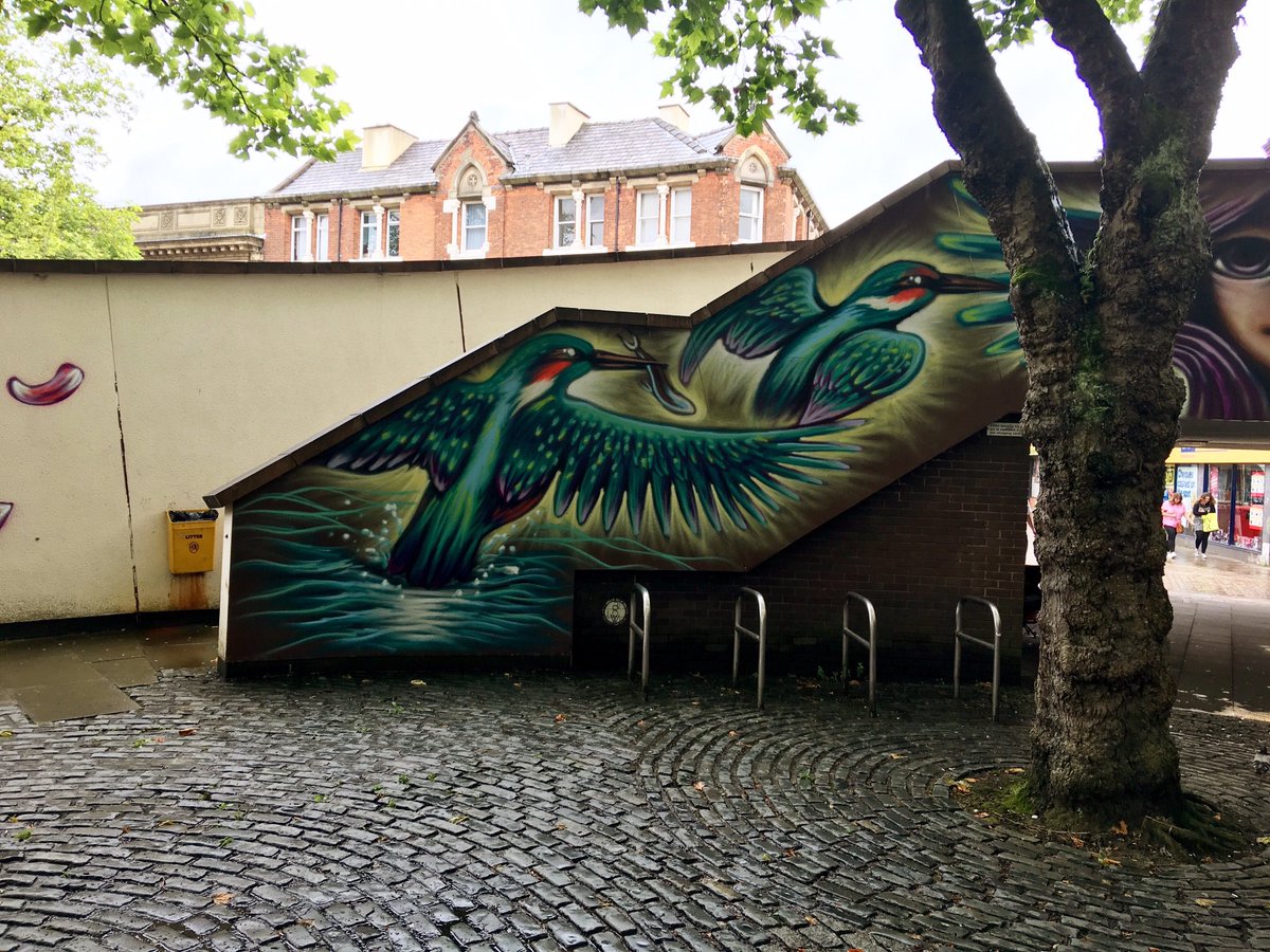PaulDerekBrown's tweet photo. Street Art from #blackburnopenwalls by ⁦@goyatorres⁩ 
#streetart #photography #myphotography https://t.co/DsPzD6uacM