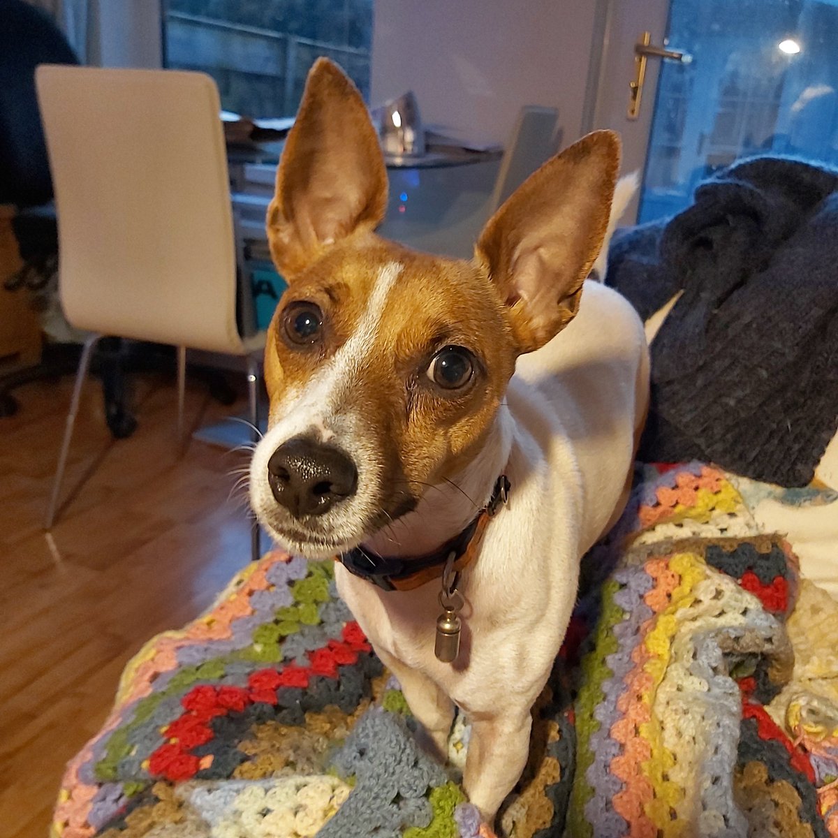 TheFabricCabin's tweet photo. @charliersmith1 Archie and I would love to join in https://t.co/XdP76YcH63