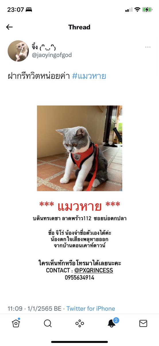 จิ๋ง ₍ᐢ. ̫.ᐢ₎ tweet media