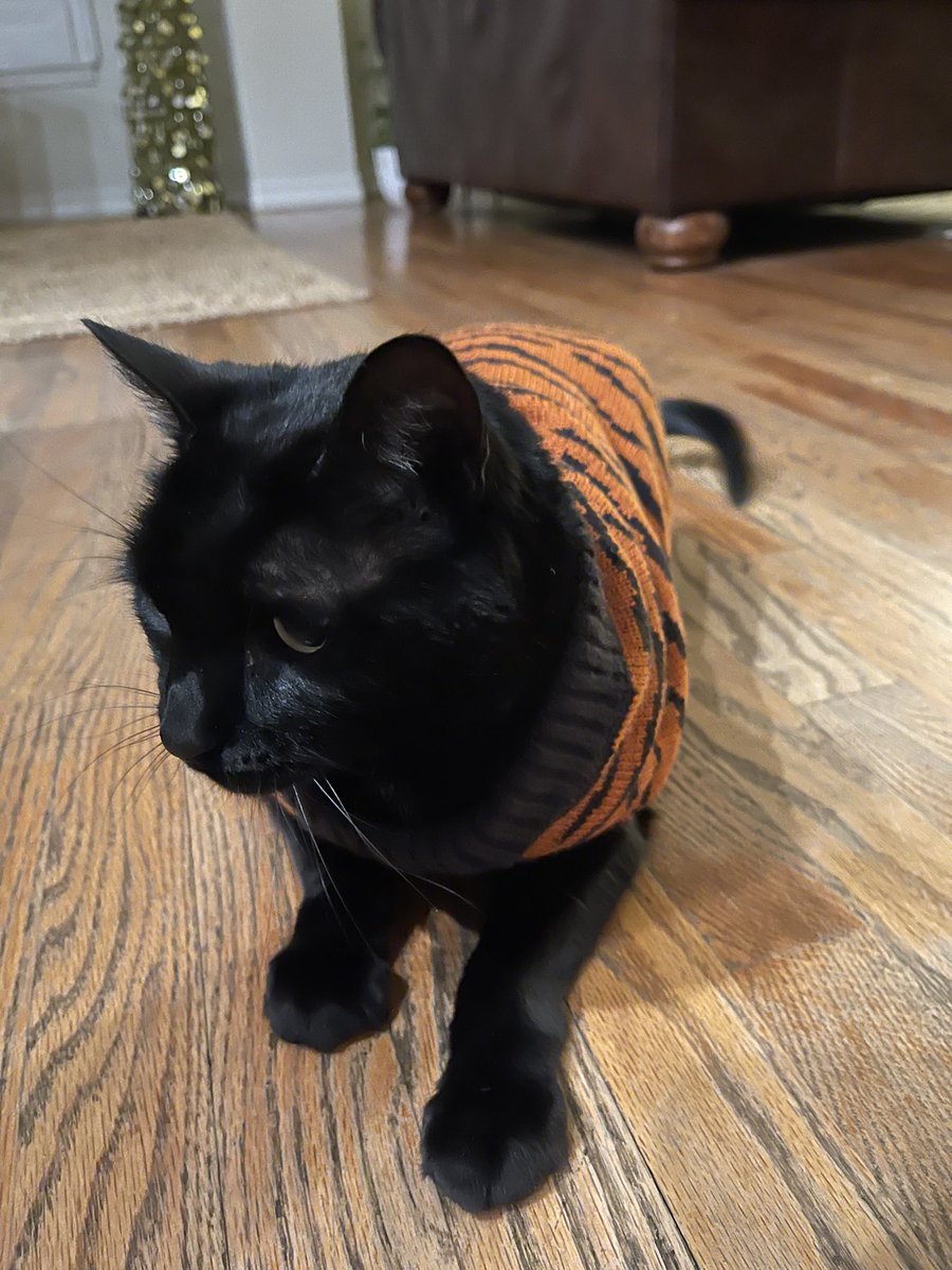 🇺🇦Midnight Daily💙💛 tweet media