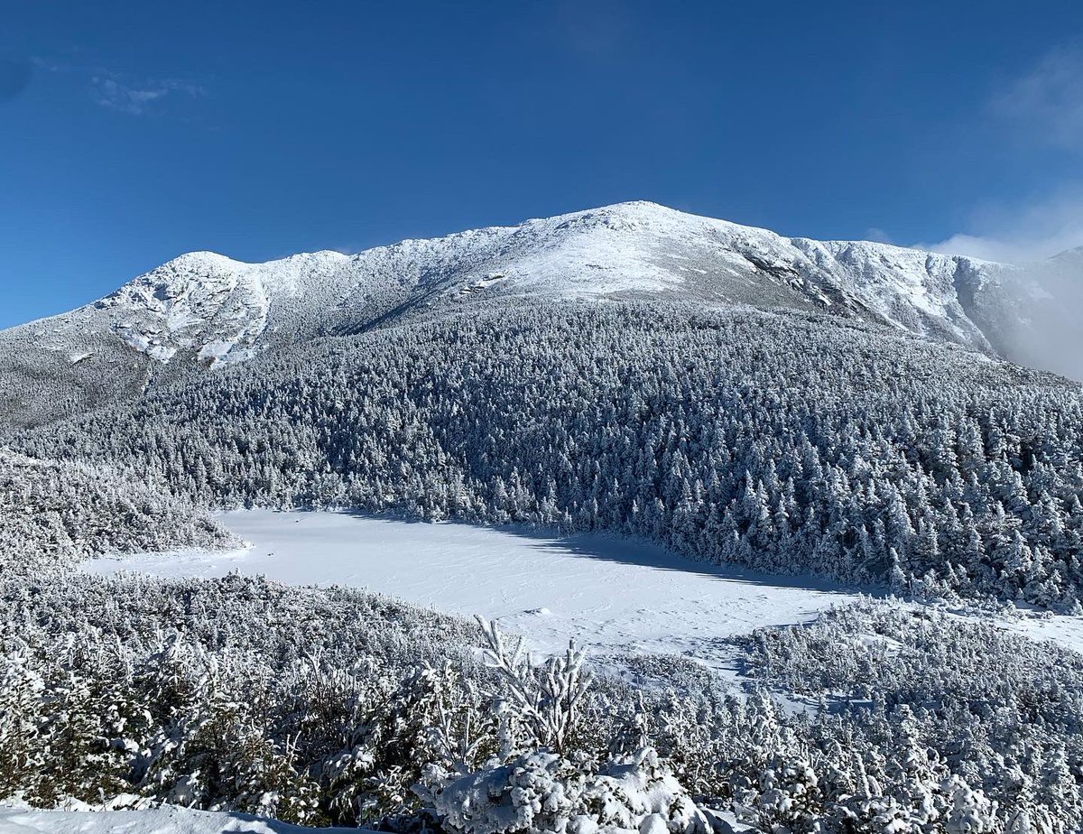 Kenneth Doucette tweet media