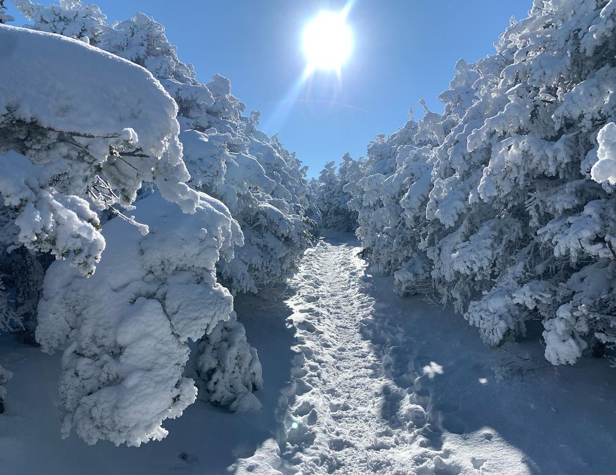 Kenneth Doucette tweet media