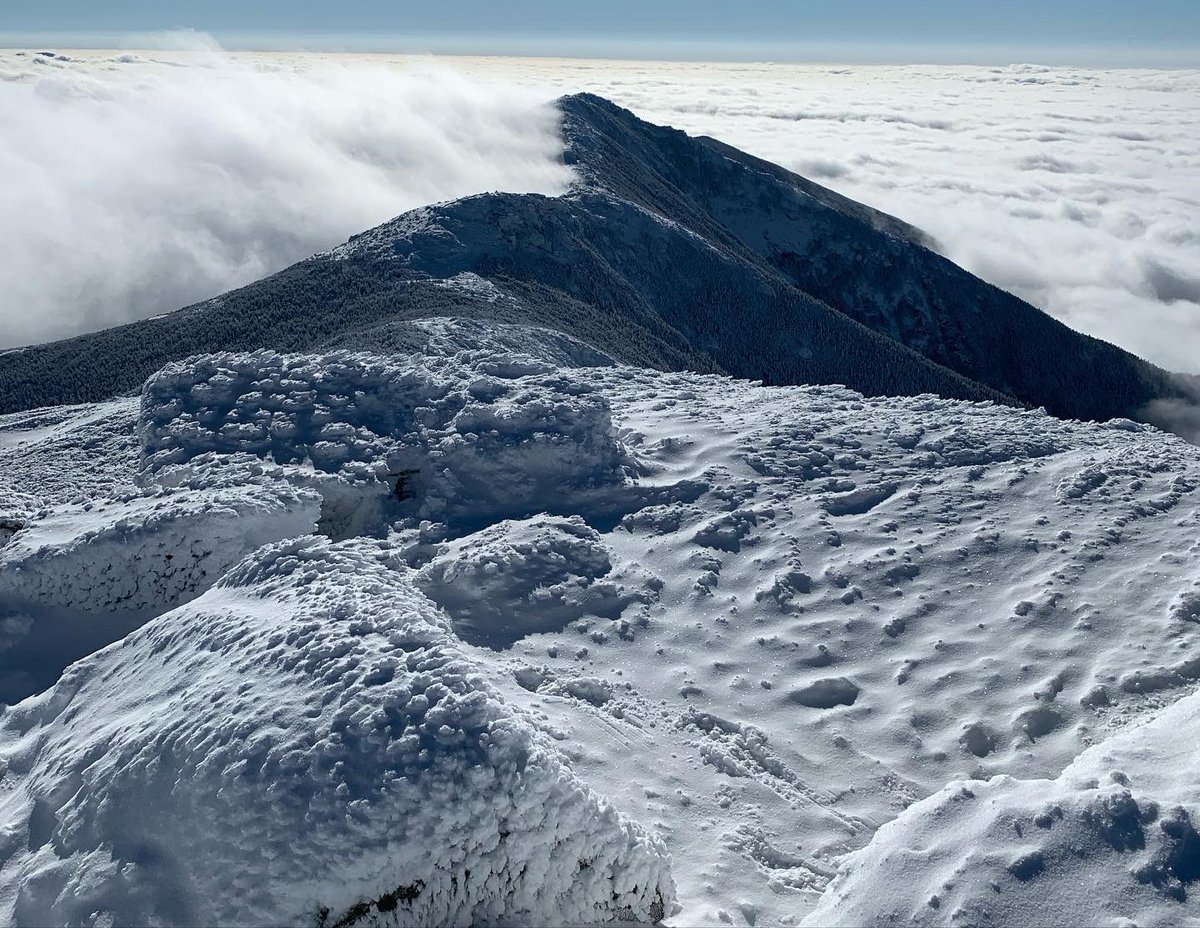 Kenneth Doucette tweet media