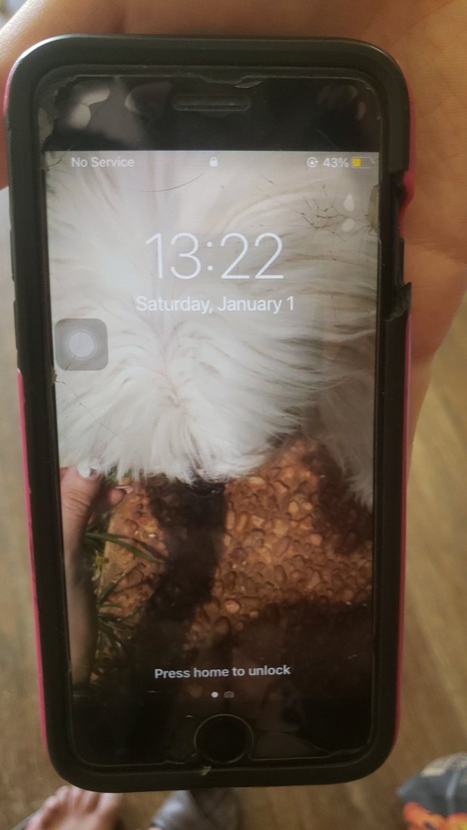 ivanfiguer's tweet photo. Al parecer este 2022 va estar lindo, encontré este celular frente al club nautico de san bernardino, si aparece la dueña favor comunicarse al privado para devolverla. Se agradece el rt https://t.co/1DtcfjY26H