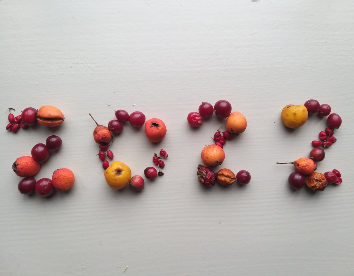 Een gelukkig en gezond 2022 met veel lokale (wilde) lekkernijen! #sierappel #cranberries #japansesierkwee #zuurbes #winterthee