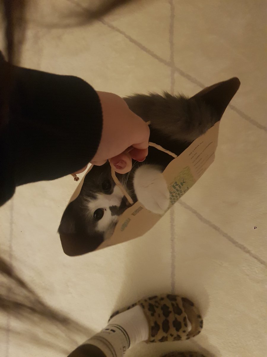 Evet arkadaşlar çantamda meymilin nimyork maskaram var