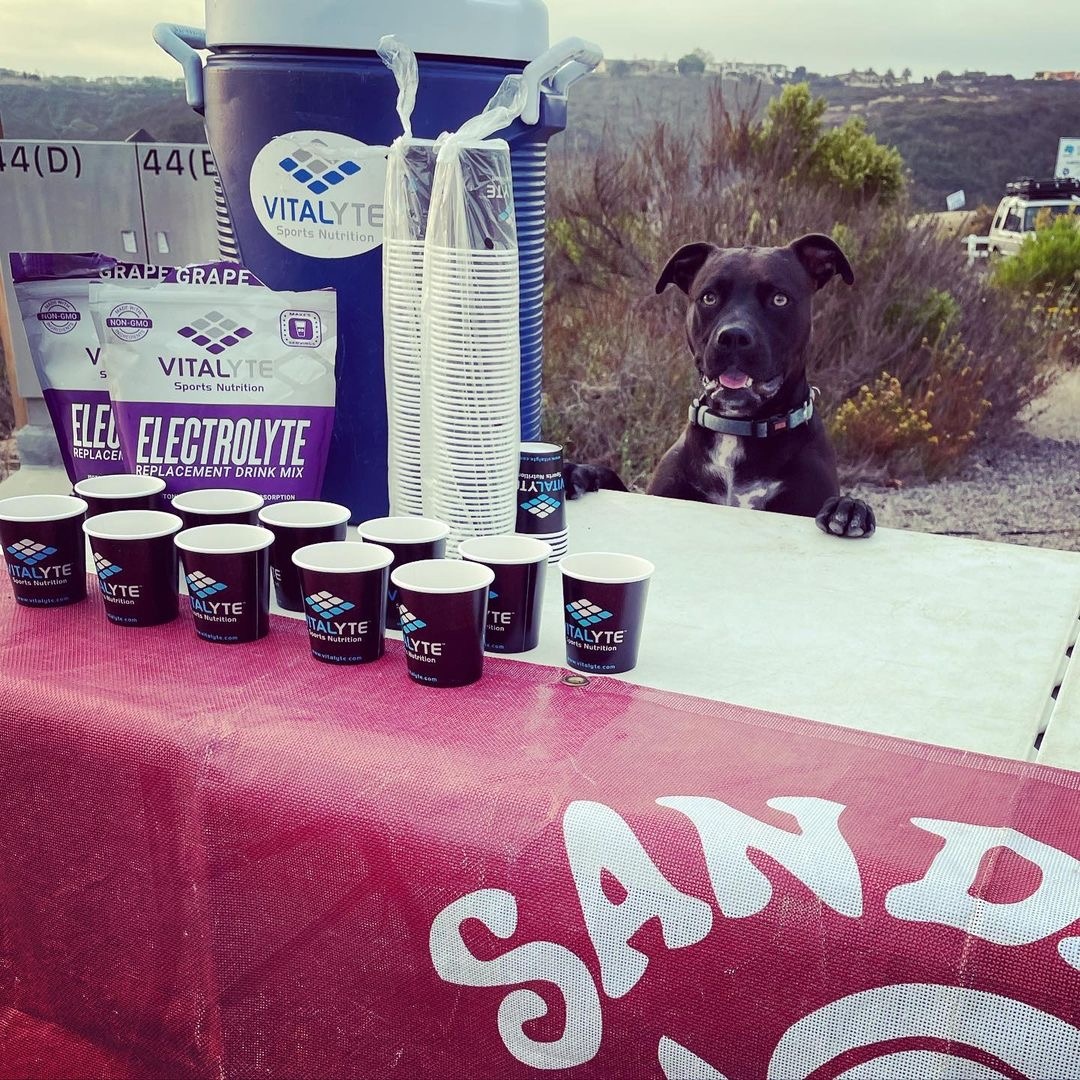 Happy new year from @obiwanthepitty and @sandiegotrackclub ⁠
🎇⁠
We have high hopes for 2022 of keeping everyone hydrated, healthy and happy!⁠
🏃🏽‍♂️⁠