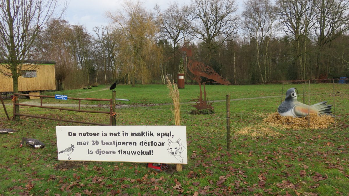 vogelwachtpein's tweet photo. Aldjiersploech Nyegea 😊 - de ljip en de skries binne wer boppe wetter! @FransJanK @janhkroese #BFVW #stikemmeialles https://t.co/m8Ht4UnLTj