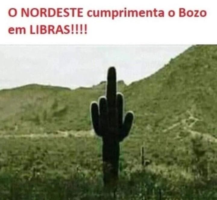 GinetomMarques's tweet photo. FORA CARNIÇA , BICHO IMUNDO https://t.co/hM818ZwoBY