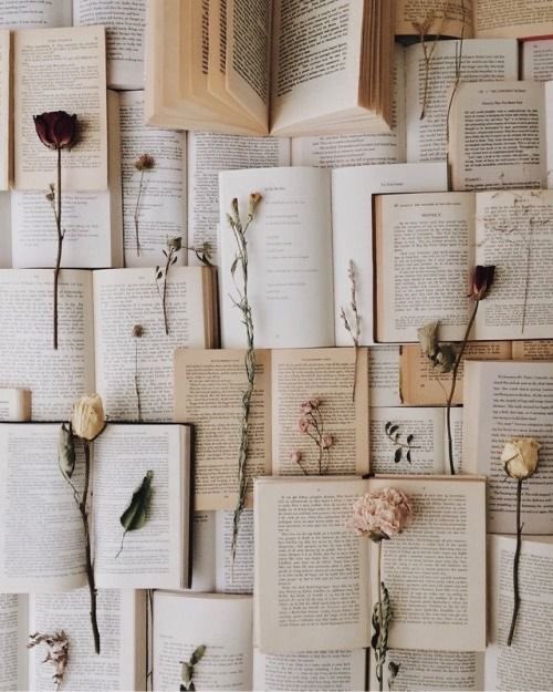 nourisreading's tweet photo. My 2022 reading journey📖
— a thread✨ https://t.co/EP781D5WCX