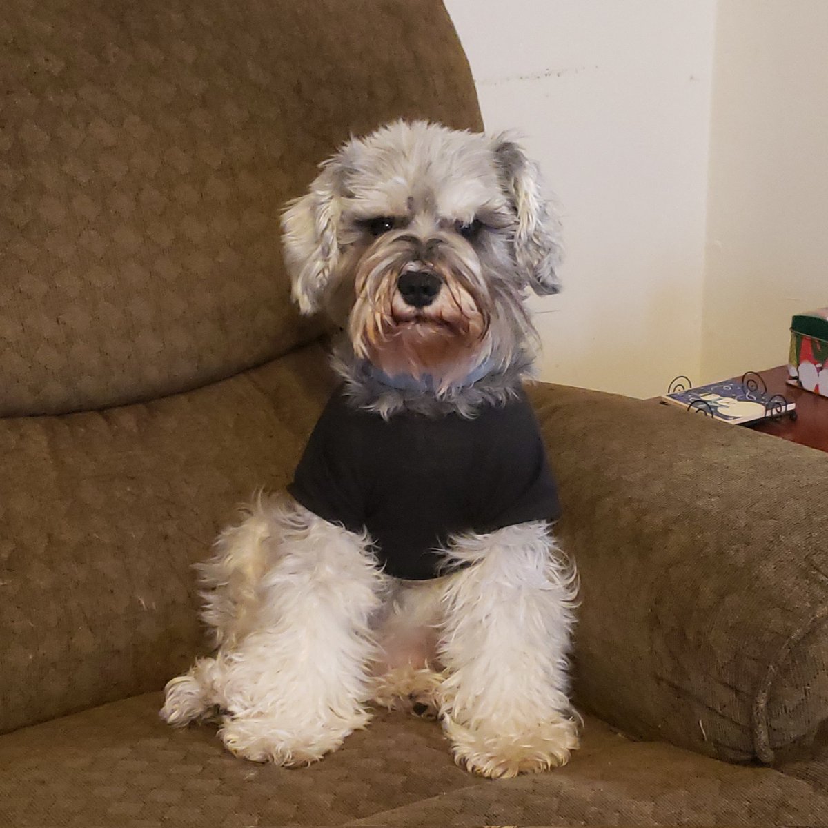 #NewProfilePic