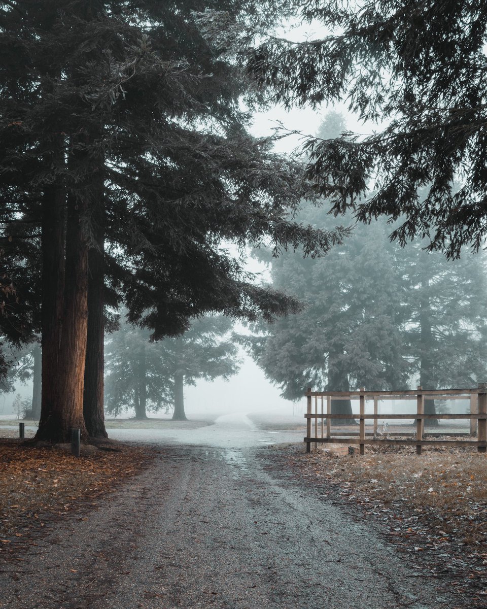 marklovelandph1's tweet photo. GM and Happy New Year

#scenesfrommk #lovemk #ThePhotoHour #foggyphotograph #foggydays #mistymorning https://t.co/zyYPlQ74P7