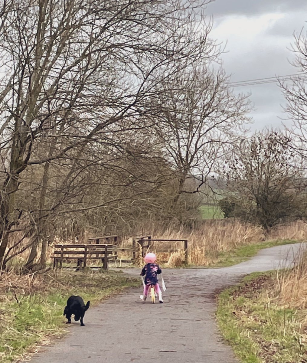 GreatwoodHead's tweet photo. So today we started our first ‘Conqueror Challenge’. My challenge is The English Channel, my 4yo is cycling The Flower Route (Amsterdam) and my 8yo is going to swim, cycle and run the Inca Trail. @myvmission #familychallenge #activeyear https://t.co/BdpdIQoq1H