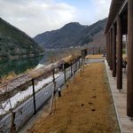 しげしげ温泉旅館乗り鉄のツイート画像