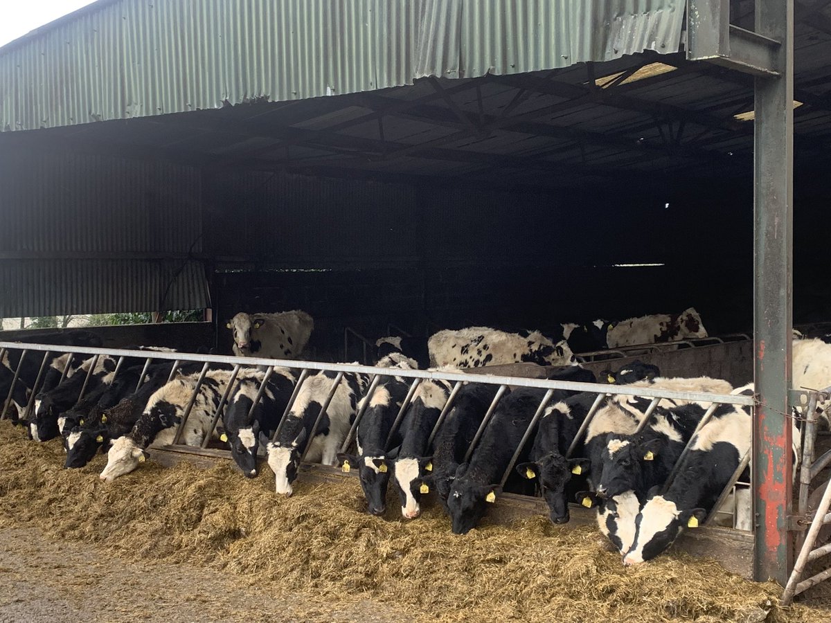 Barkley Dairy Solutions Ltd. 🐄🐄 tweet media