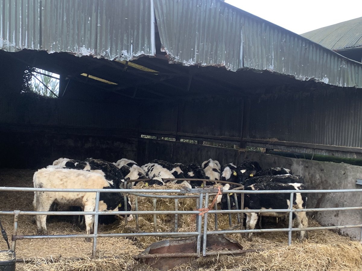 Barkley Dairy Solutions Ltd. 🐄🐄 tweet media