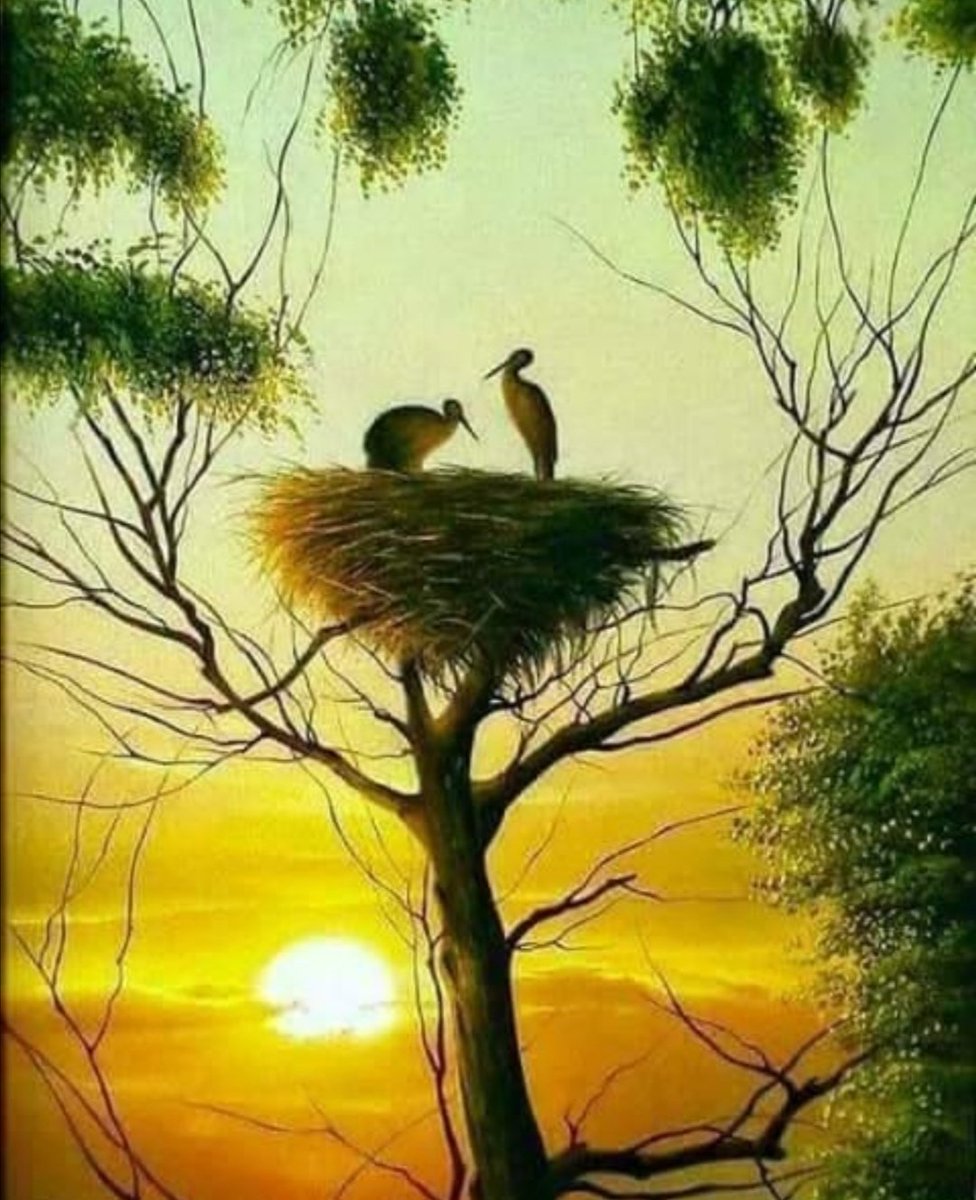 ElverQuinchia's tweet photo. La belleza de la naturaleza! https://t.co/MxebD64hZy