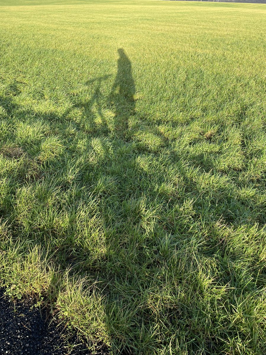 MorvH's tweet photo. First miles of 2022 and a beautiful day for it! #DoddieAid #teamnorthandmids https://t.co/t0mnZTgH4L