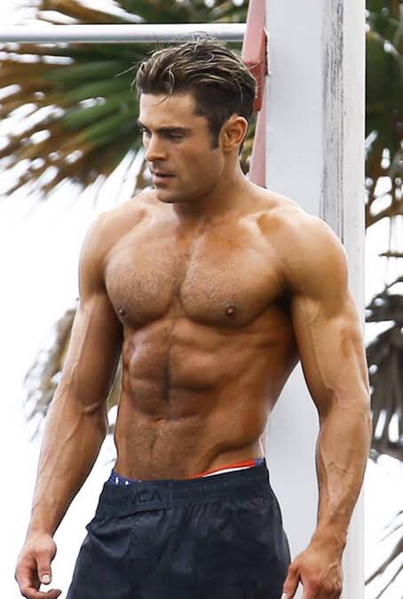 @Black_Noir800 騎士はザックエフロンが好き 