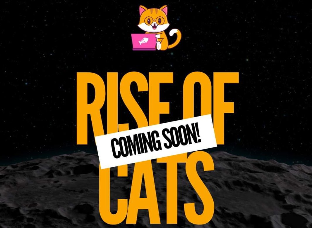 SCristinor's tweet photo. @cz_binance #catecoin 
#CatecoinArmy https://t.co/zb3Z94KOkq