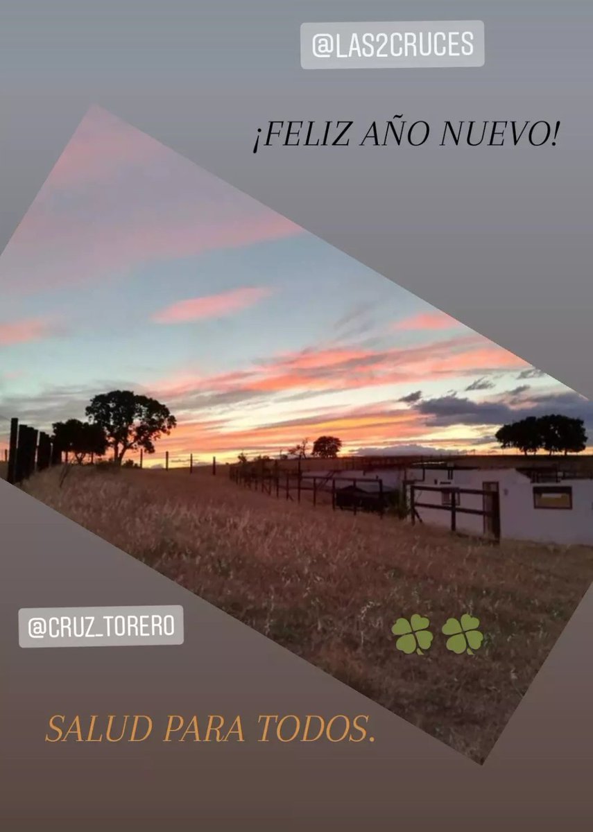 Finca Las dos Cruces tweet media