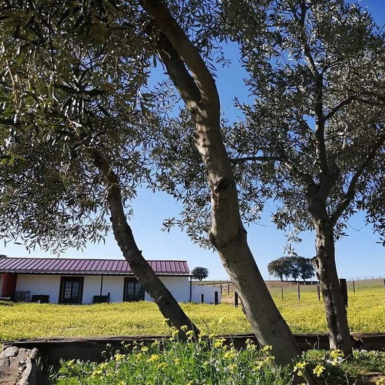 Finca Las dos Cruces tweet media