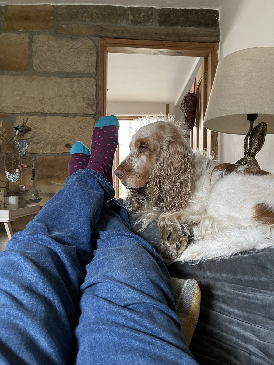 pauljonesking's tweet photo. #NewYear2022 a movie in front of the fire at #roancottage https://t.co/ap52SJm7iV