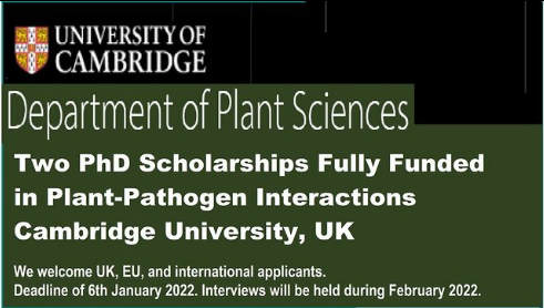 agristok's tweet photo. 📌 Two PhD Scholarships Fully Funded in Plant-Pathogen Interactions🌱🦠🐍 at Cambridge University, UK🇬🇧... Please Retweet and spread the word! For details visit the link below👉👉 https://t.co/lnZQCFI8IZ https://t.co/9MJVZCN25A