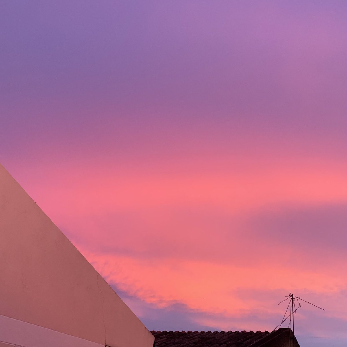 — 𝐥𝐚 𝐩𝐞𝐭𝐢𝐭 𝐛𝐚𝐥𝐞𝐢𝐧𝐞 ༊⁺˖ tweet media