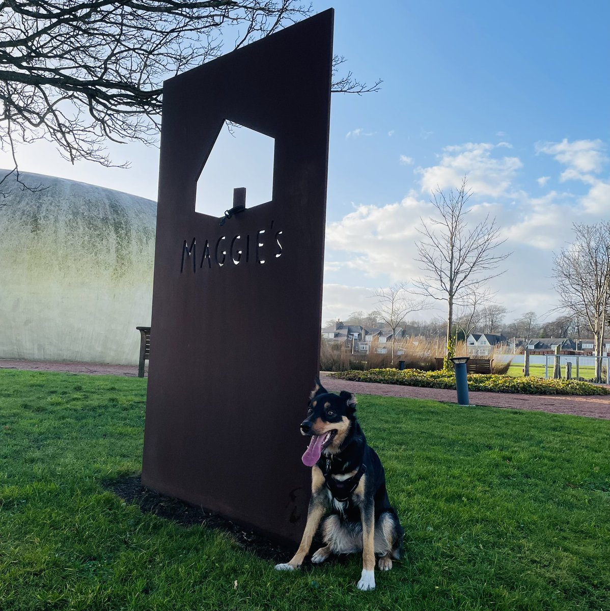 NatProdChem's tweet photo. Wishing you all a #Happy2022 Twitter friends! To start the year, my #kelpie (Broom) is dragging me 50 miles for @MaggiesCentres in January. She could easily run it all on Day 1 but is being kind and going at my pace #nicenightforit https://t.co/Zf0Lr09M6a