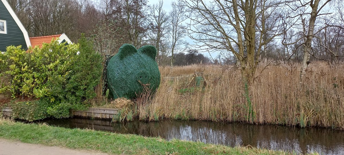 オランダにもスーモいた