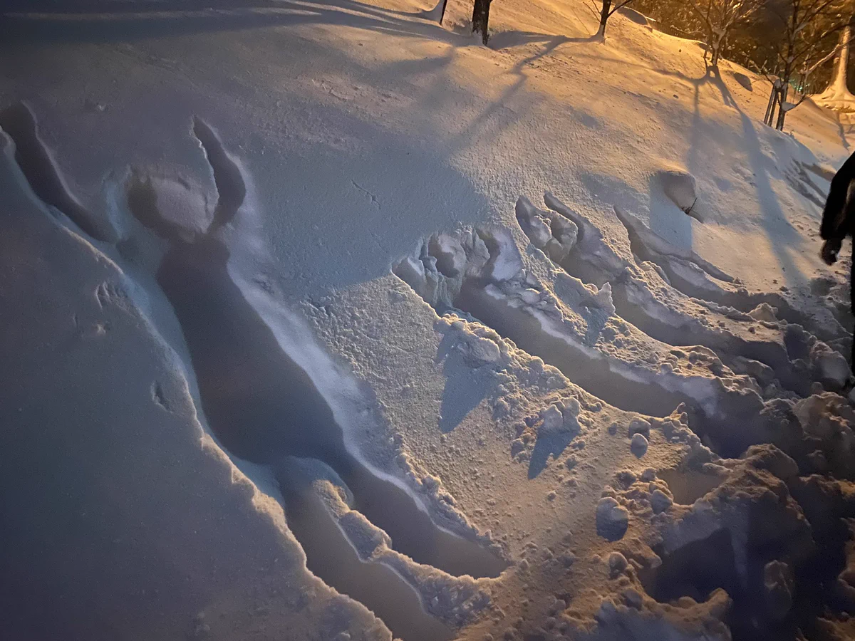 ふわふわの雪の上に見つけた…知らない家族の痕跡w