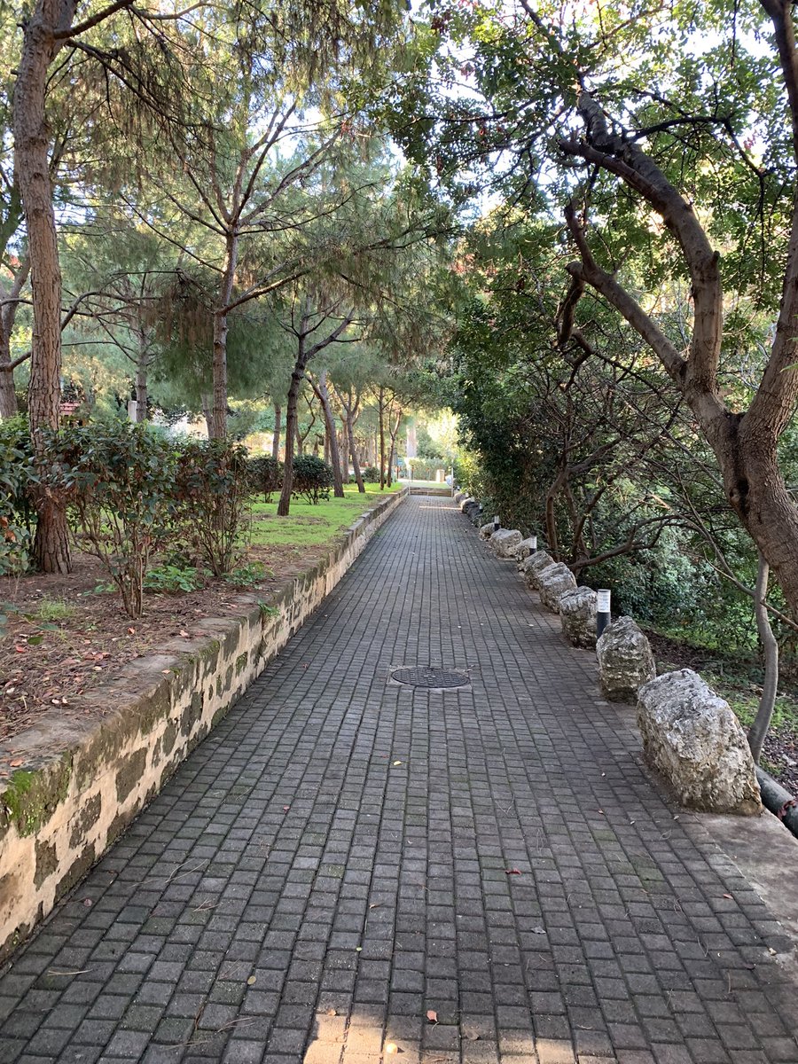 قلت لاولادي يوماً ، اذا غابت عني الذاكرة و ضللت الطريق، ستجدونني حتما هناك ، في هذا المكان، عائدةً الى الرحم الثاني الذي انجبني للمرة الثانية. #جامعتي <a href="/AUB_Lebanon/">American University of Beirut</a>