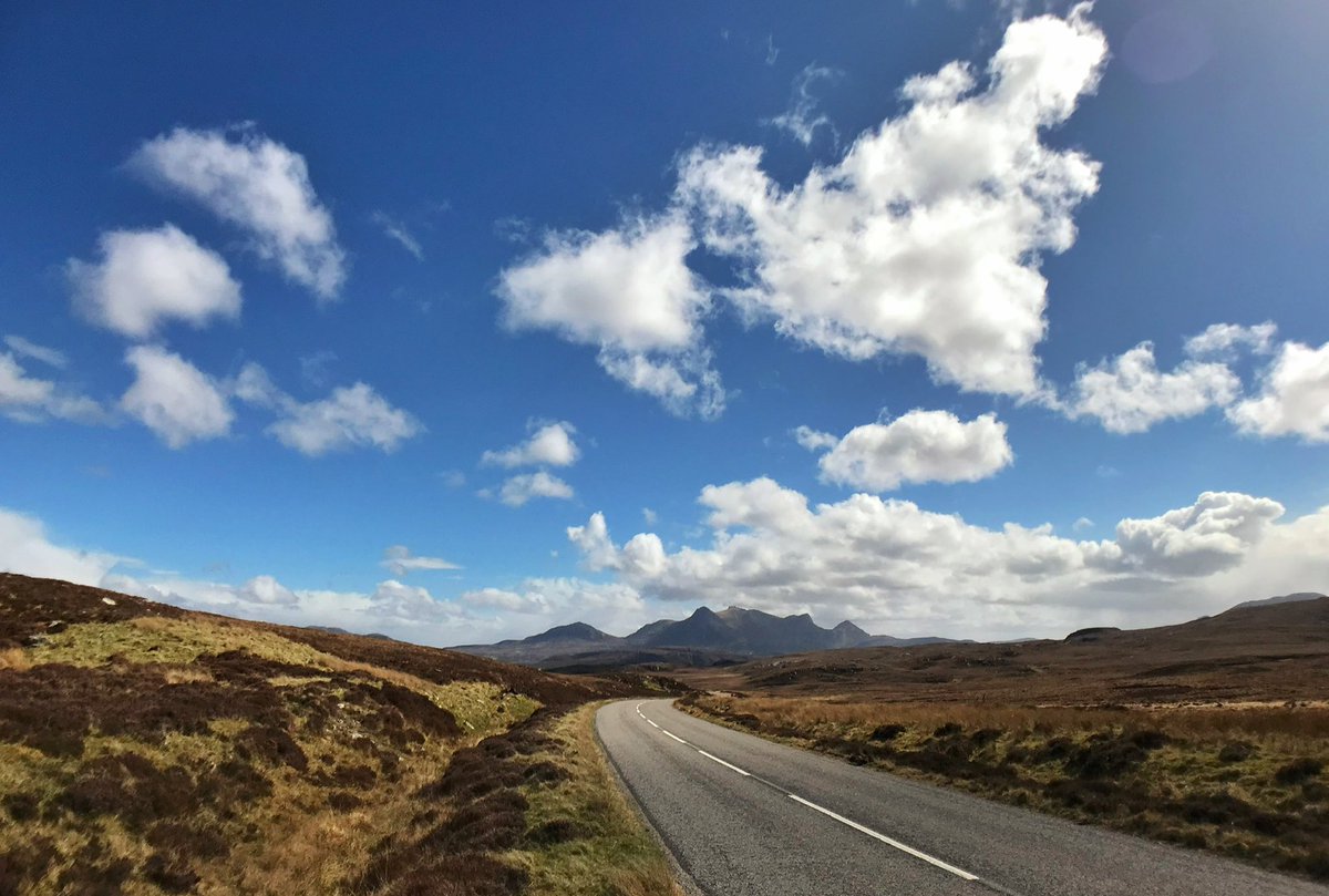 suemarshcoaching tweet media