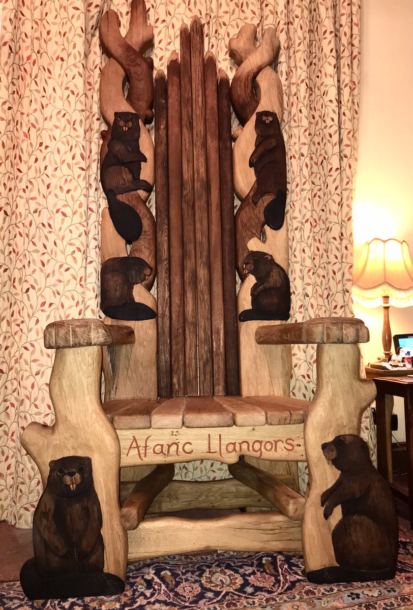 ColinPreece8's tweet photo. @gow_derek I have your throne installed in the kingdom of Llangors, if it will prevent any of that execution b*ll*cks!!!! https://t.co/qdzyjNm3dg