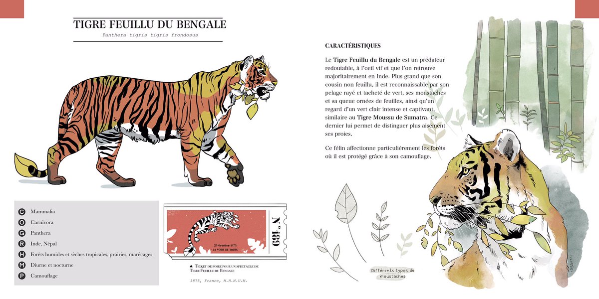 2021: First edition!

(I still have to translate this one in english…) 