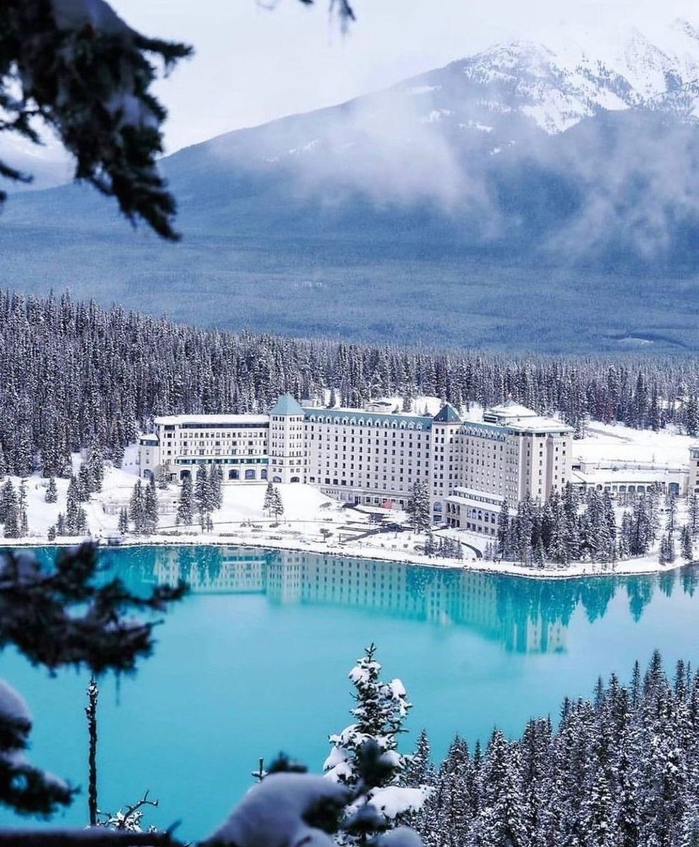 Daniella_C1804's tweet photo. Beautiful landscape 🤍
Fairmont Chateau Lake Louise. https://t.co/o3dGBlIZ3j
