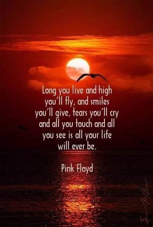 lisa_verar's tweet photo. 🖤🖤🖤 https://t.co/NQ0JQpPz10