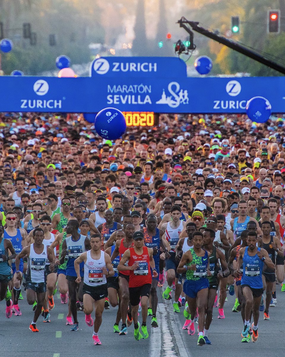 Zurich Maratón de Sevilla tweet media