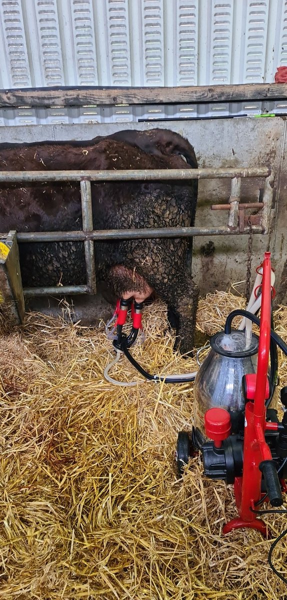 Kieran Galvin tweet media