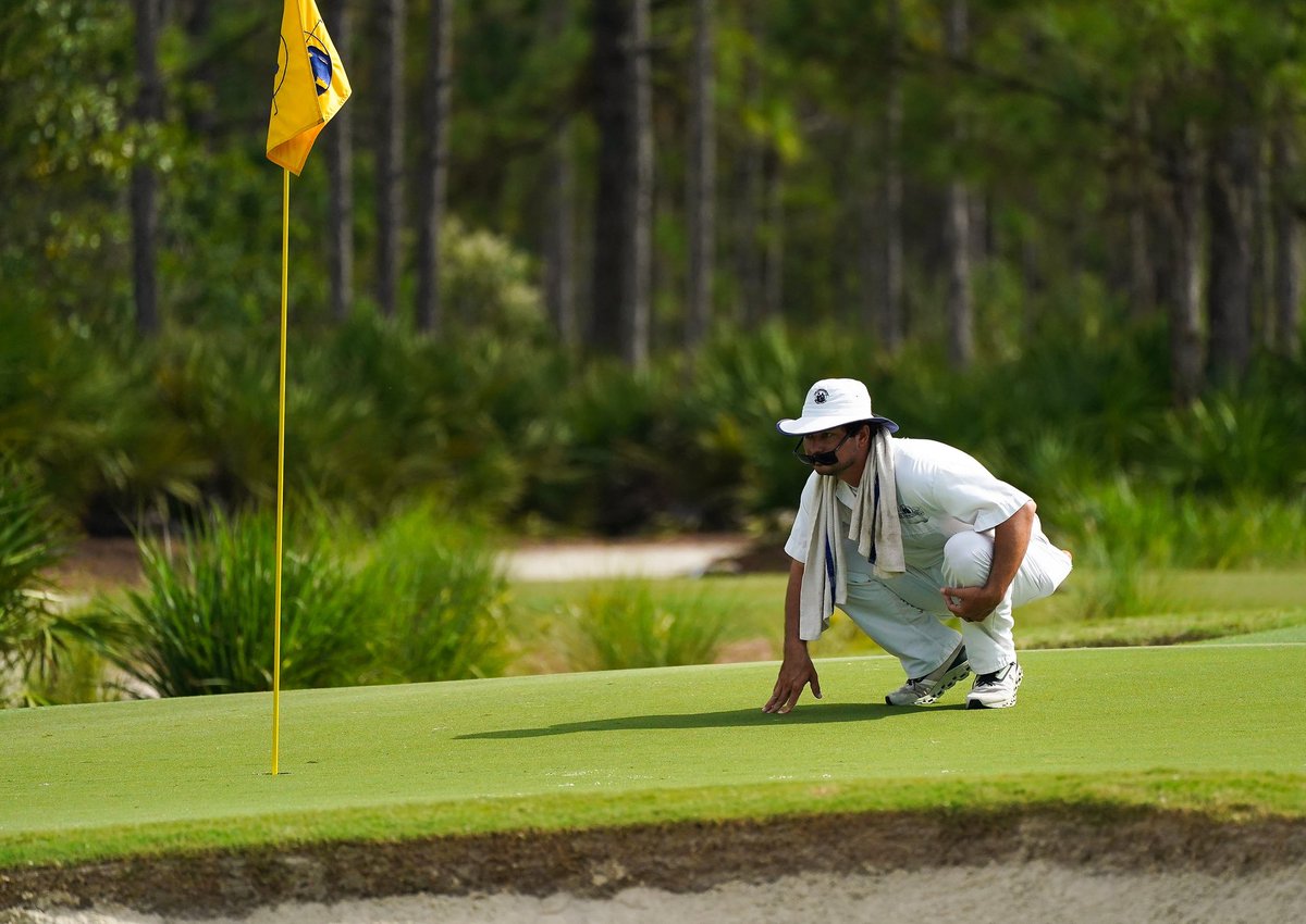 The Concession tweet media