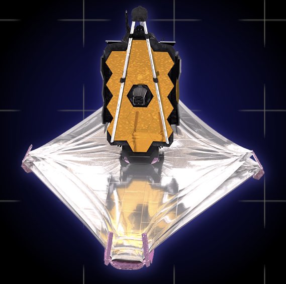 Dr. Gioia Rau tweet media