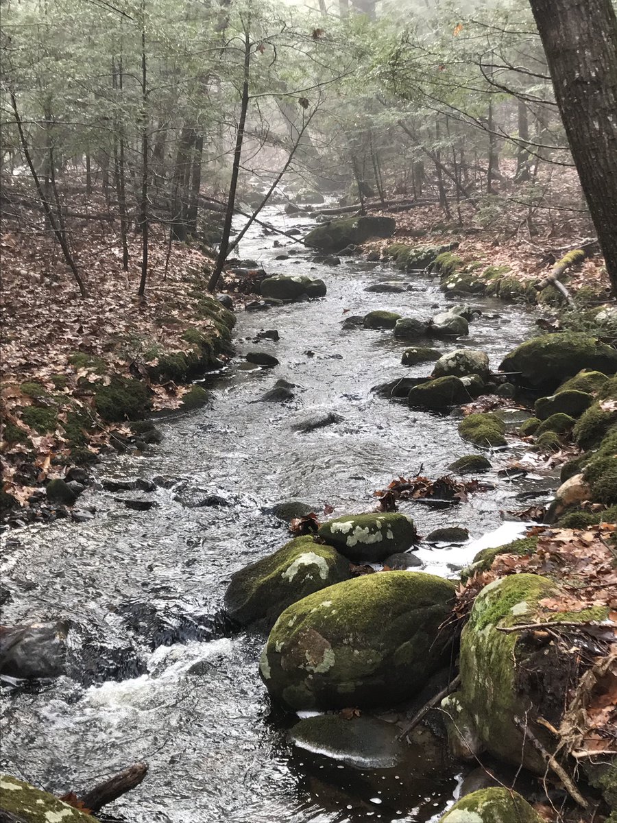 ErinLuchenbill's tweet photo. Took a #lastdayhike instead of #firstdayhike due to weather forecast for today. Beautiful time at @MassAudubon Lynes Woods Wildlife Sanctuary! https://t.co/9ItA3jHKe8